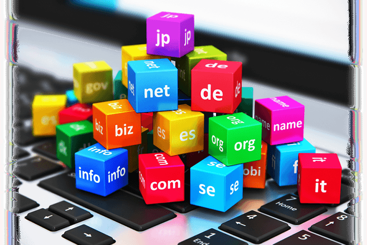 DOMAIN NAME REGISTRATION