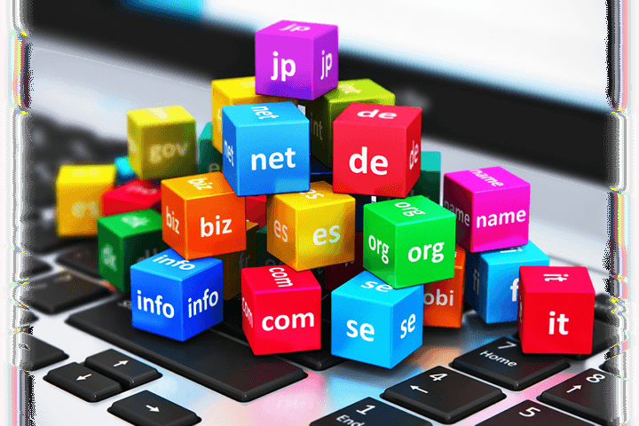 DOMAIN NAME REGISTRATION